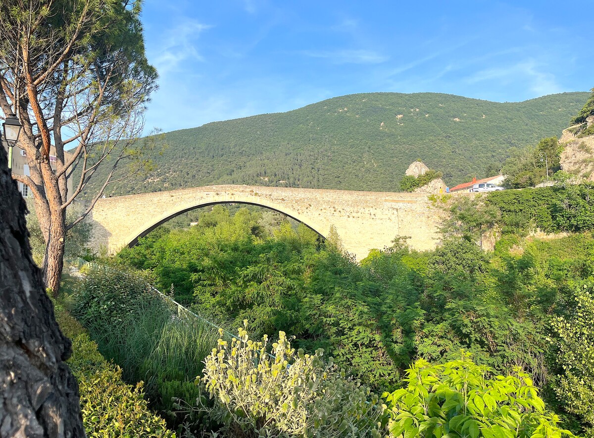 Die Römische Brücke von Nyons von der Uferpromenade aus